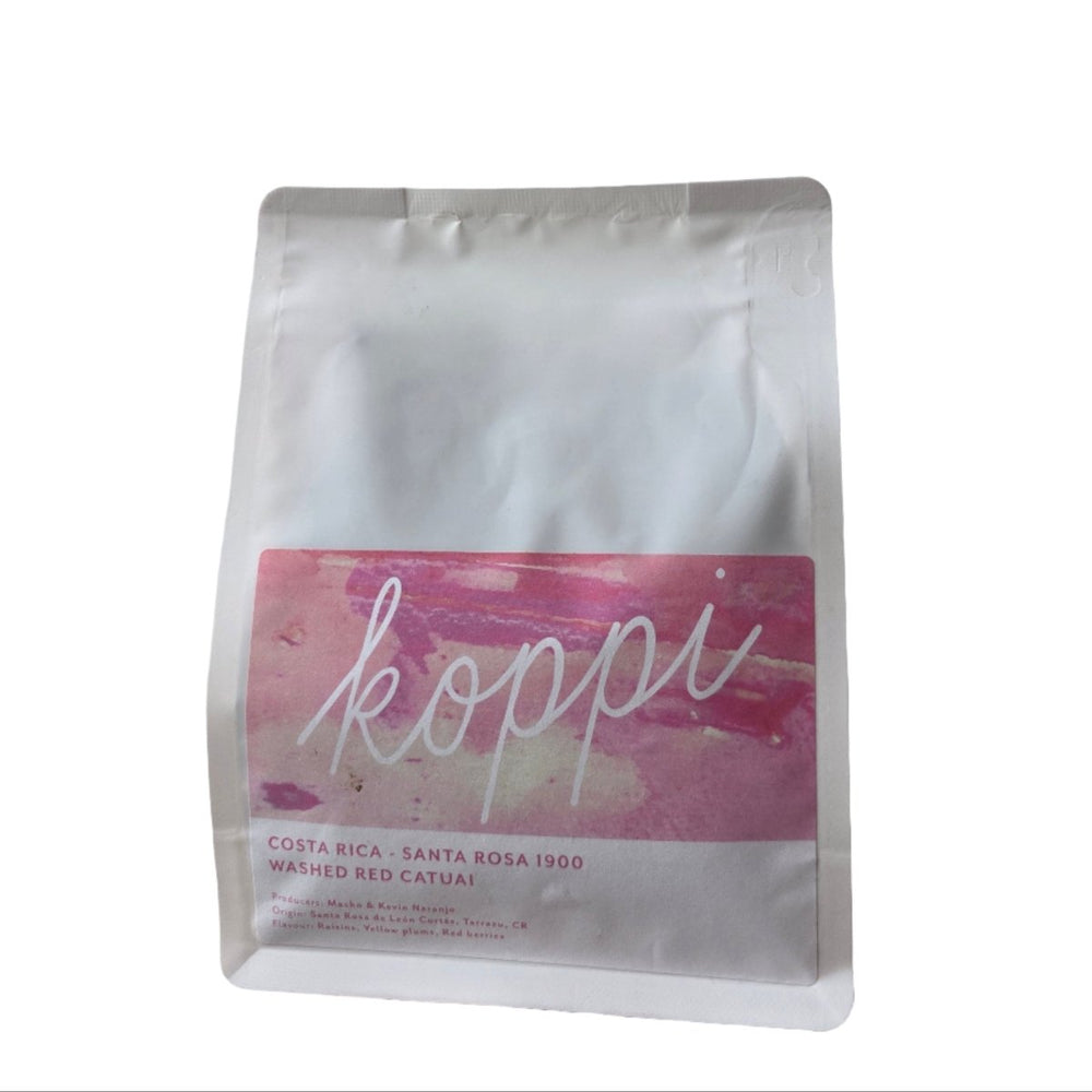 Costa Rica Santa Rosa 1900 | Washed Red Catuai - Koppi - Bean Bros.