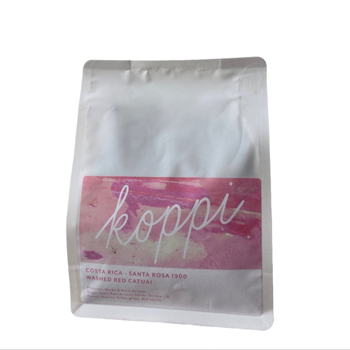 Costa Rica Santa Rosa 1900 | Washed Red Catuai - Koppi - Bean Bros.