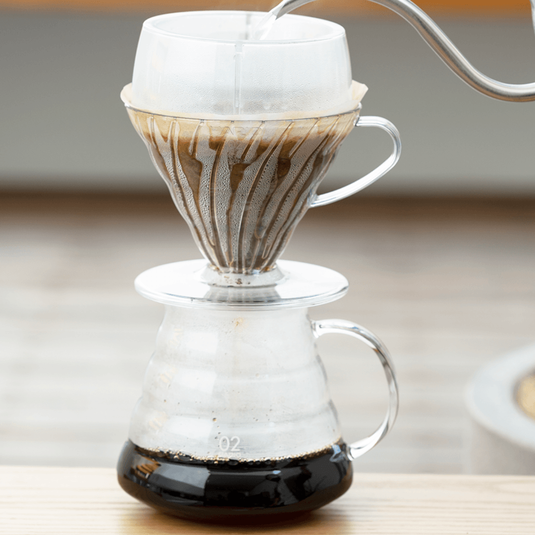 Hario V60-02 Drip Assist for Perfect Pour-Over Coffee