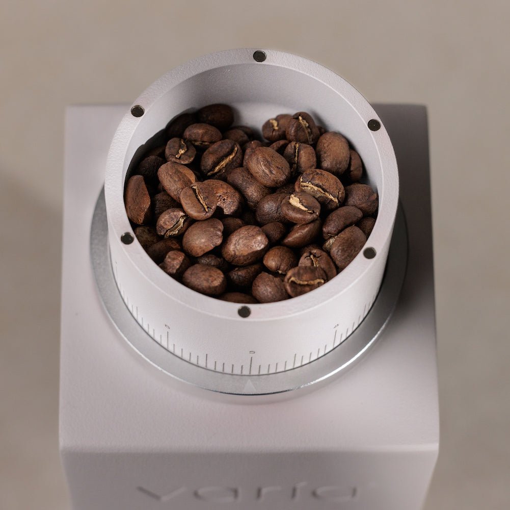 The Best Coffee Grinder in 2023 - Bean Bros.