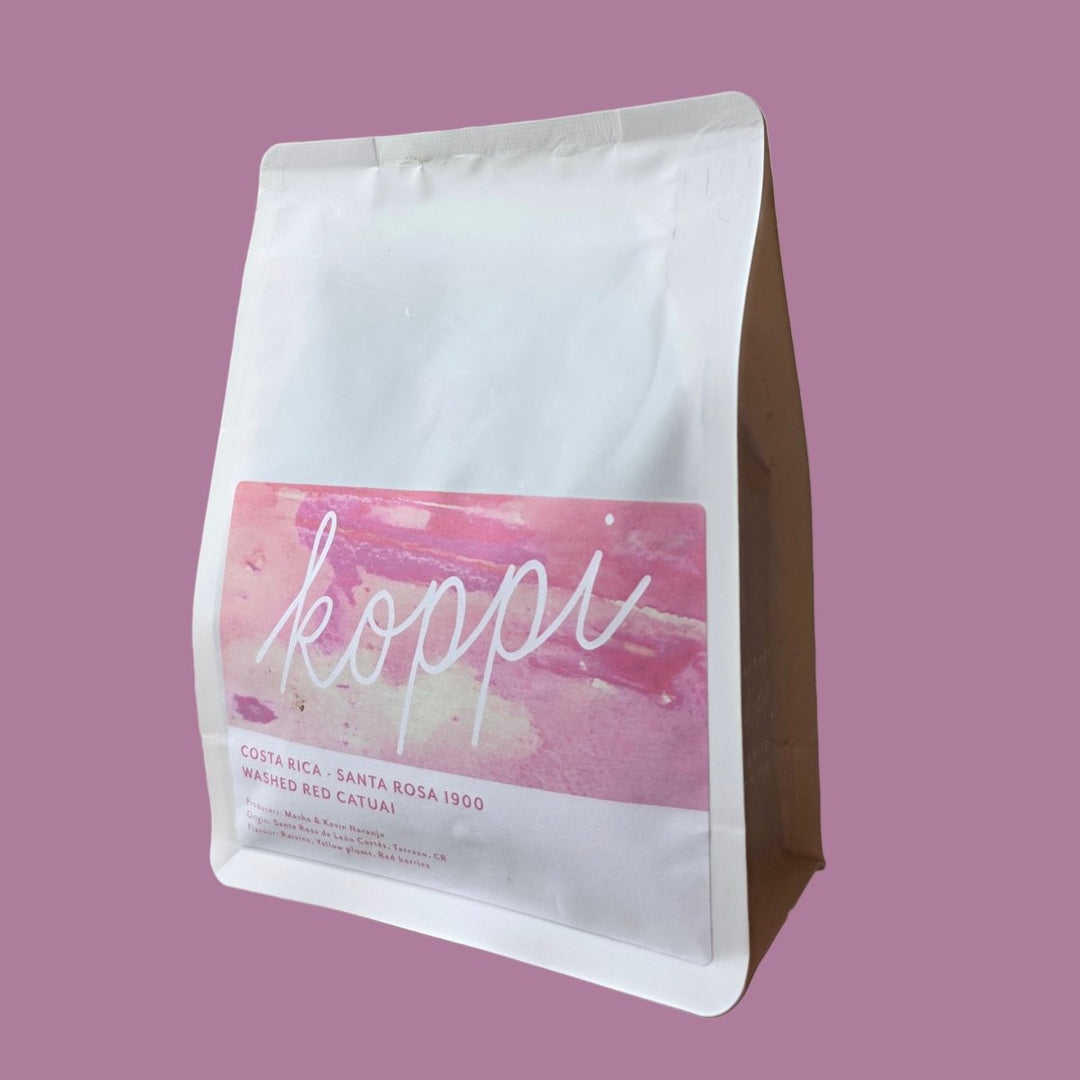 Costa Rica Santa Rosa 1900 | Washed Red Catuai - Koppi - Bean Bros.