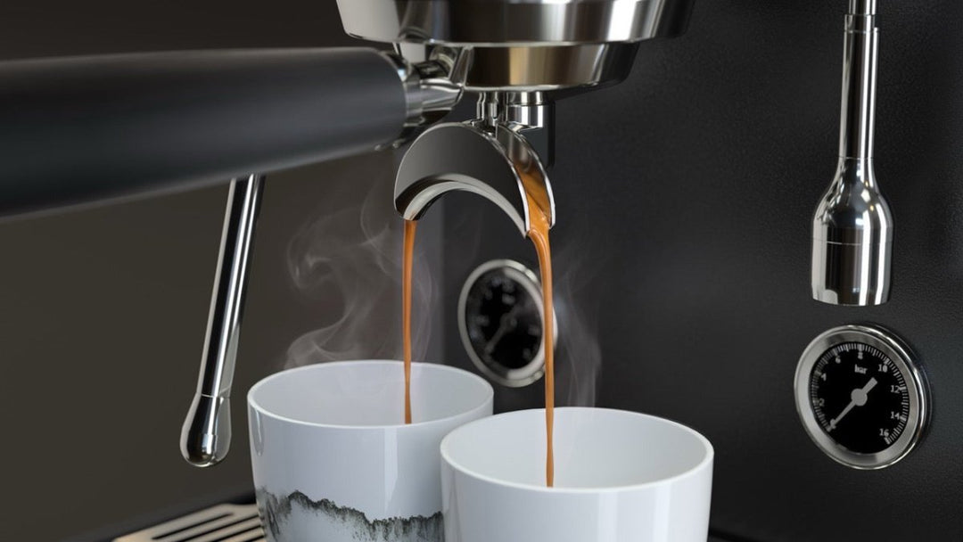 Mahlkönig Xenia Brew-by-Sync Dual Boiler Espresso Machine - Bean Bros.