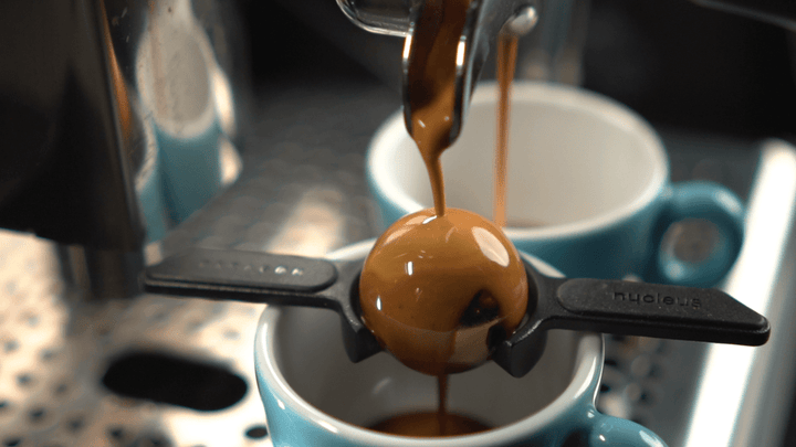 Paragon Espresso - Bean Bros.