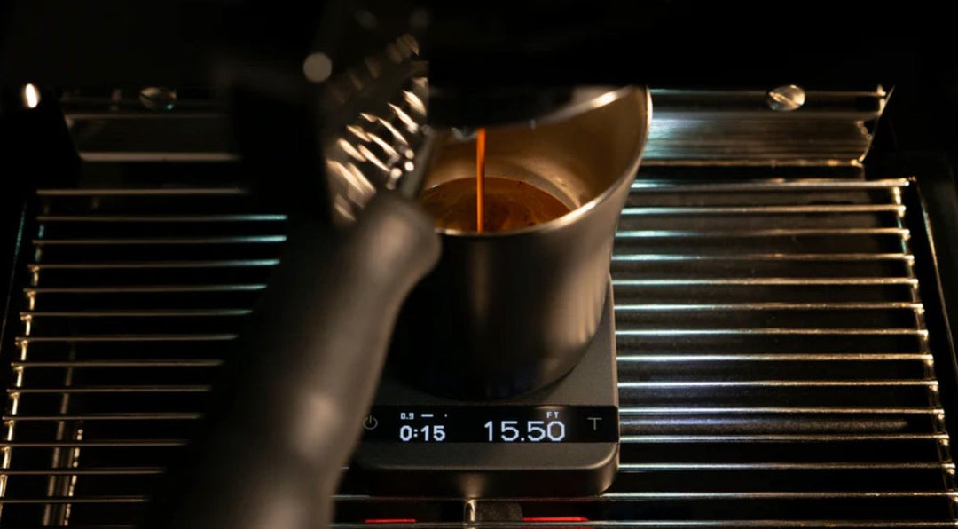 Pyxis - Black - Bean Bros.