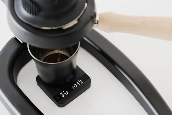 Pyxis - Black - Bean Bros.