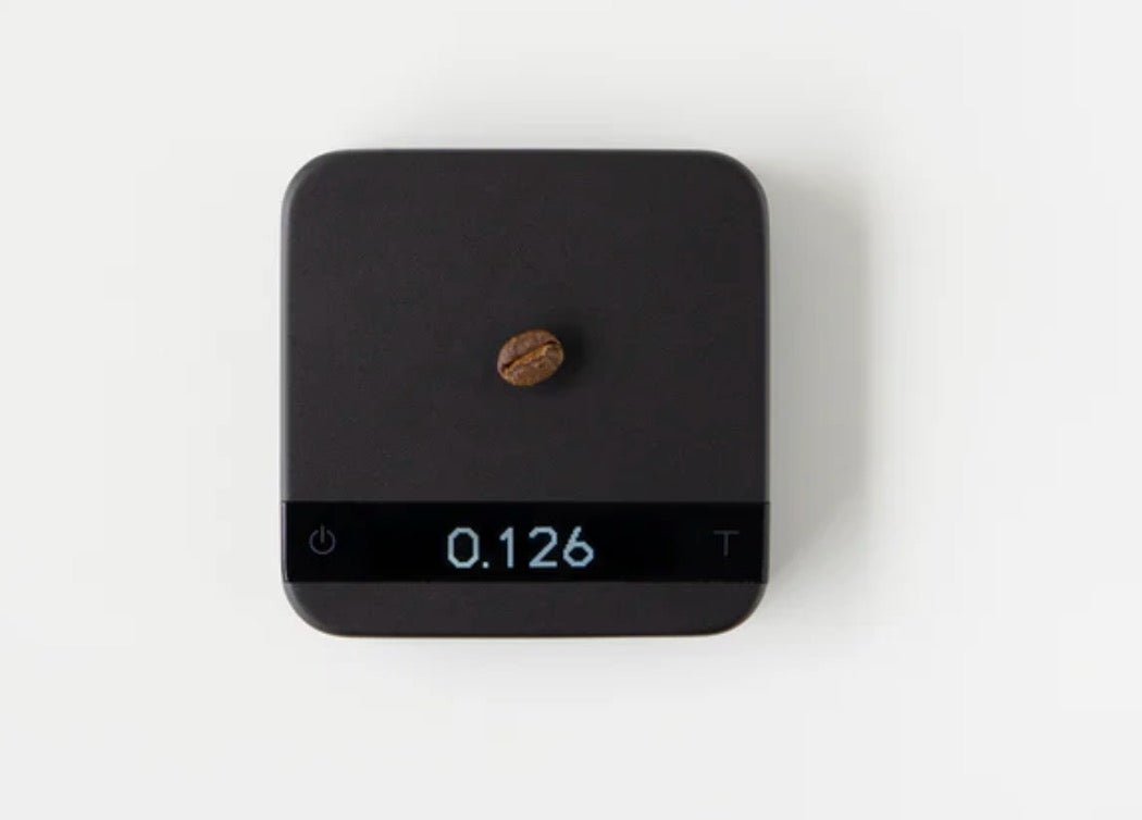 Pyxis - Black - Bean Bros.