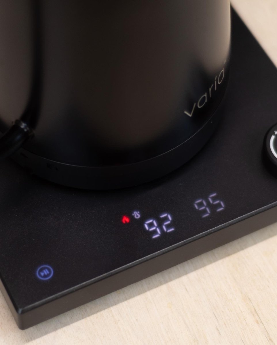 Electric kettle with smart temperature setting